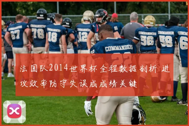 法国队2014世界杯全程数据剖析 进攻效率防守失误成成绩关键