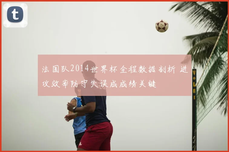 法国队2014世界杯全程数据剖析 进攻效率防守失误成成绩关键