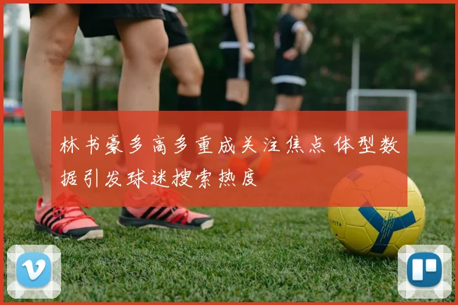 林书豪多高多重成关注焦点 体型数据引发球迷搜索热度